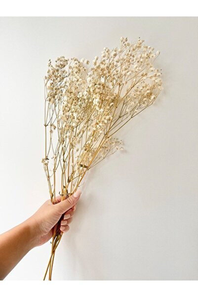 Goya Home Şoklanmış Krem Cipso Demeti 1.Kalite Şoklanmış Dökülmeyen Kuru Çiçek Gelin Buketi Çiçeği