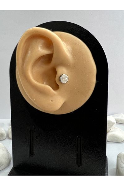 Karınca Piercing Flat Cylinder Surgical Steel Tragus - Forward Helix Flat Conch Ear Piercing