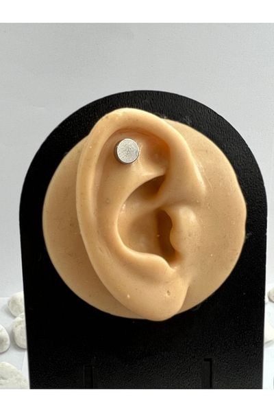 Karınca Piercing Flat Cylinder Surgical Steel Tragus - Forward Helix Flat Conch Ear Piercing