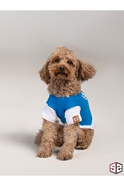 salya store 3d Rubber Baskı Yazlık T-shirt- (%100 Pamuk Köpek Kıyafeti, Köpek Yazlık)