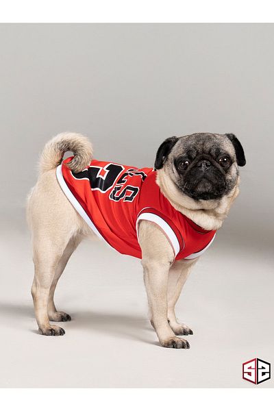 salya store (newgine) Chicago Summer Dog Shirt (cat,dog Apparel Small Breeds)