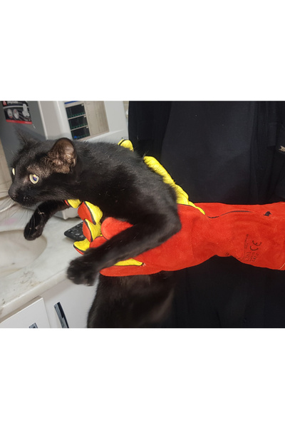 Farmena Kedi Yakalama Eldiveni 40 Cm