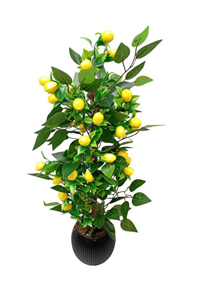 Cennet Home Limon Ağacı 70 cm Antrasit saksıda yoğun yapraklı yapay ağaç