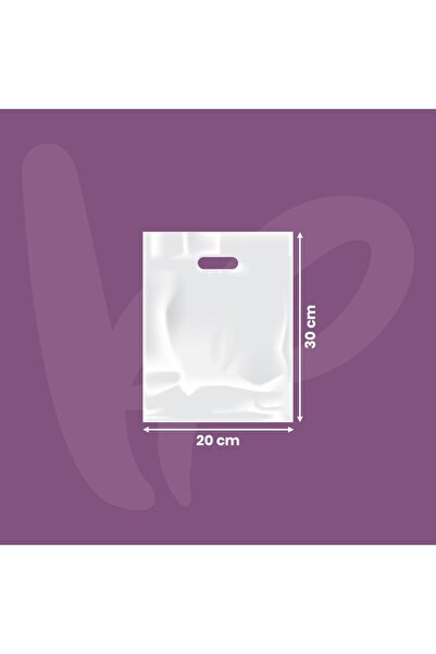 KARGOPEK Baskısız El Geçme Mağaza Poseti 20*30 (500 ADET)