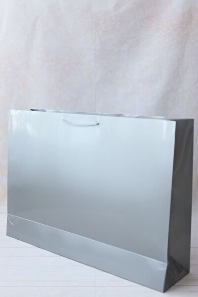 demontecraft حقيبة كرتون فضي مقاس كبير 54*38 سم 2 قطعة