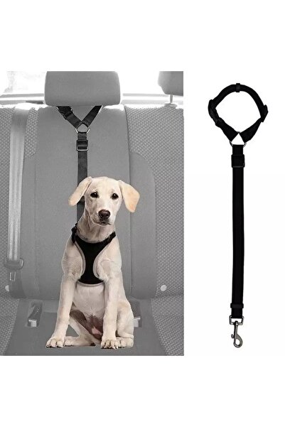 BYENS حزام أمان للسيارة للقطط والكلاب من الداخل، أطواق للحيوانات الأليفة، حزا...