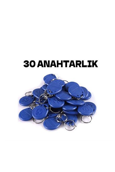 Electrimax Magnetic Keychain -30pcs Rfid Keyfob Indicator Keychain 125 Khz Proximity Tag-30