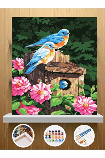 CNS HOBBY TUVAL Sayılarla Boyama Ve Hobi Seti Tuvale Gerilmiş Tablo Seti 40x5...