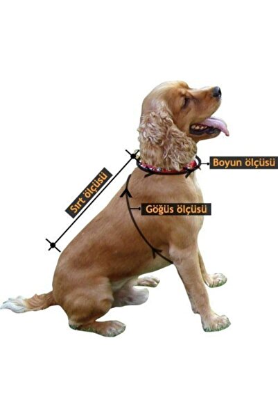 Loyal Friend Store Kırmızı Köpek Göğüs Bel Tasma Takımı M Beden (45-55 Cm)
