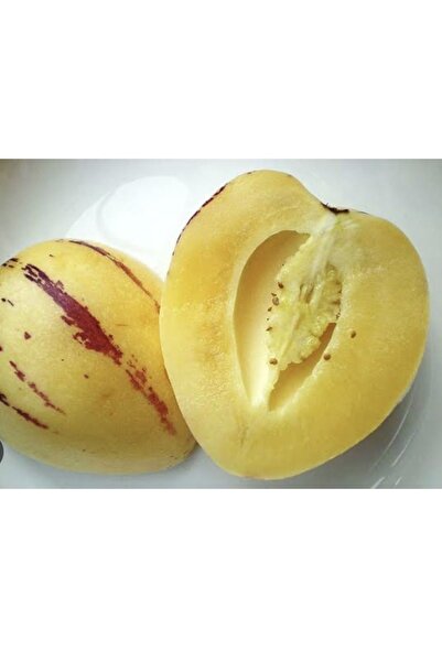 KILINÇ TROPİKAL 1 kg pepino