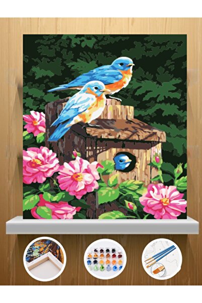 CNS HOBBY TUVAL Sayılarla Boyama Tablo Seti Çerçeveli 30x40 Fırça Ve Boya Seti Pamuk Tuval Bezi Kuşlar