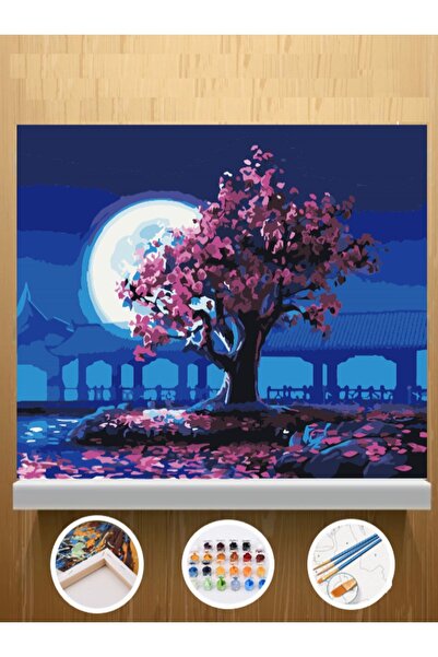 CNS HOBBY TUVAL Sayılarla Boyama Ve Hobi Seti Tuvale Gerilmiş Tablo Seti 40x5...