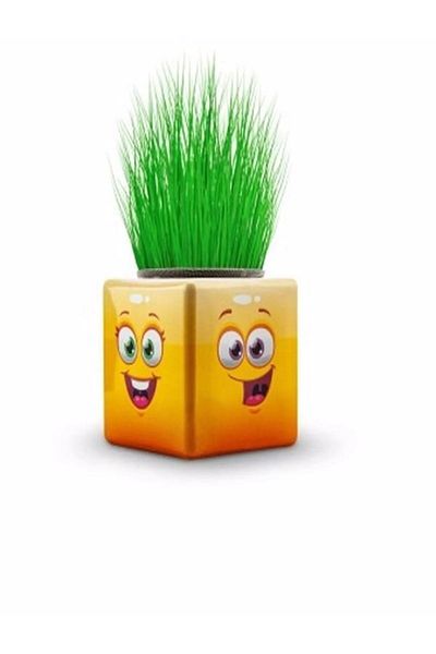OMZ 24-Piece Emoji 3-Sided Figured Cube - 1 School and Preschool Gift Grassman