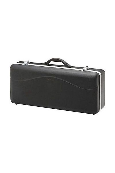 Solo Saxophone Alto Hard Case - Carry Decoration