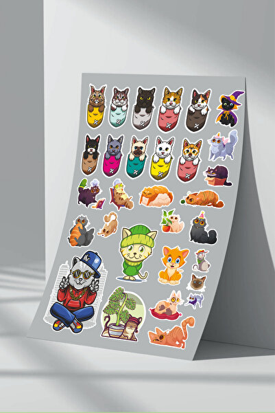 Sticker Market Set de autocolante pentru pisici în 20 de pași
