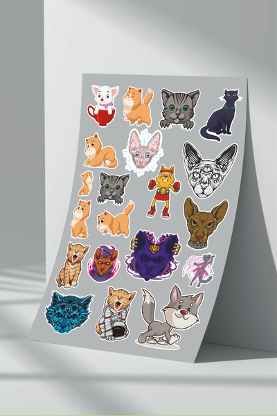 Sticker Market Set de autocolante pentru pisici - Pachet de 3