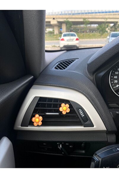 OTOMOGARAJ Oto Aksesuar Klima Süsü Mini Papatyalar Ikili Klipsli Turuncu Klim...