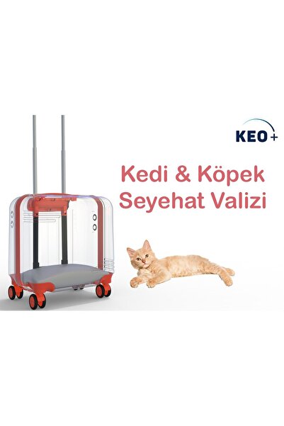 Diseno Keo Plus Şeffaf Renk Pet Kediniz ve Köpeğiniz İçin Seyahat Valizi - Tu...