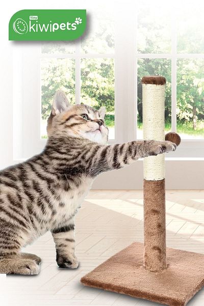 kiwi pets KPT 10620 عمود خدش للقطط