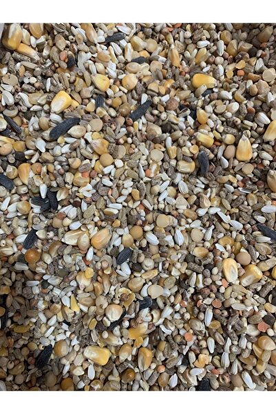 Fauna Pet Supplies 10 Kg Güvercin Yemi Buğdaysız Karışık