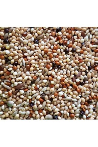 Genel Markalar Karışık Vitaminli Muhabbet Kuşu Yemi 1,5 Kg