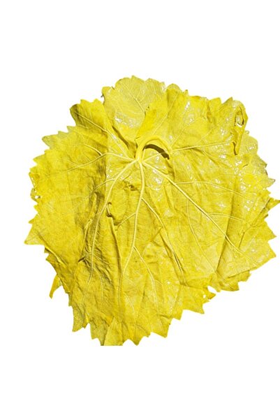 Genel Markalar Tokat Erbaa Yöresine Ait Salamura Özel Mayıs Uç Yaprak 3 Lt (D...