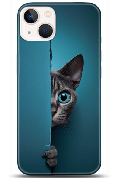 adveksiyon Apple iPhone 13 Mini Case Hd Printed Case - Followed Institution 5091