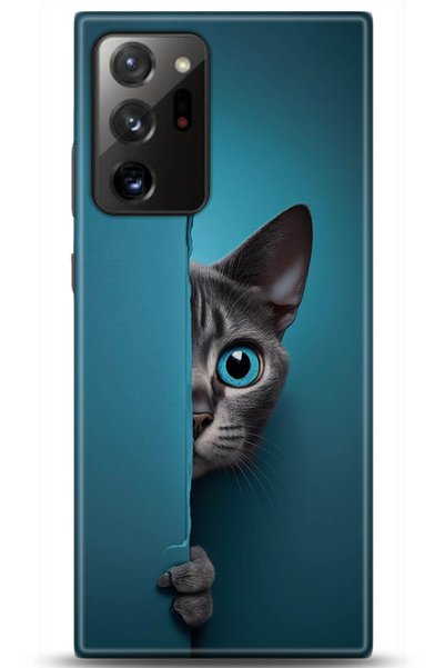 adveksiyon Samsung Galaxy Note 20 Ultra Case Hd Printed Case - Followed Insti...