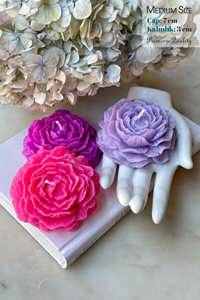 ANCİLLA 3'Lü Set - Pembe, Mor, Lila Renk Exotic Kokulu Dekoratif Şakayık Çiçe...