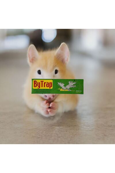 ÇELİK TARIM ANTALYA Fare hamam böceği böcek karınca yapışkan tuzak zehirsiz