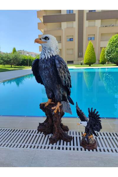 BilgeCe hoMe Büyük Kartal Heykeli, Dev Kartal Heykeli, Kartal Ailesi Heykel S...