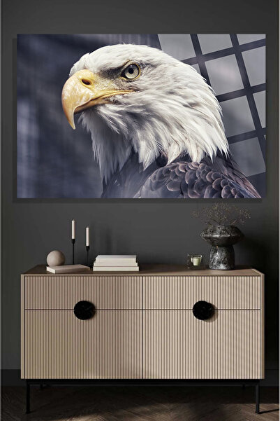 TAULART Görkemli Kartal 4mm Tabla de lux din sticlă temperată, rezistentă la ...