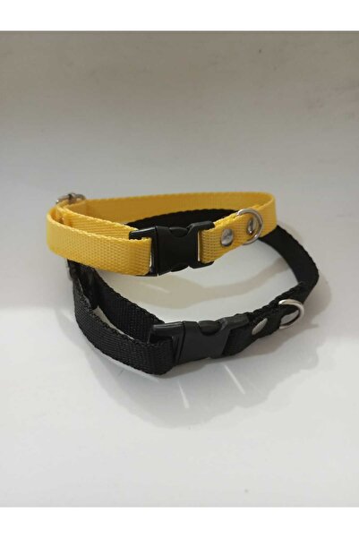 Loyal Friend Store köpek ve kedi tasma 2li set ((25 cm -35 cm arası))