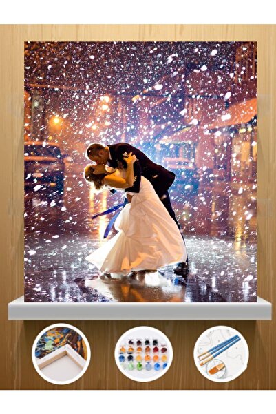 CNS HOBBY TUVAL Sayılarla Boyama Hobi Seti 30x40 Cm Çerçeveli Tuval Seti Fırç...