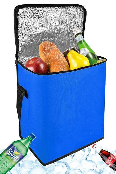 Ankaflex Geantă termică pentru suport la rece de 25 de litri Geantă termică pentru picnic Thermos Icebox Auto Icebox Beach Sea Travel