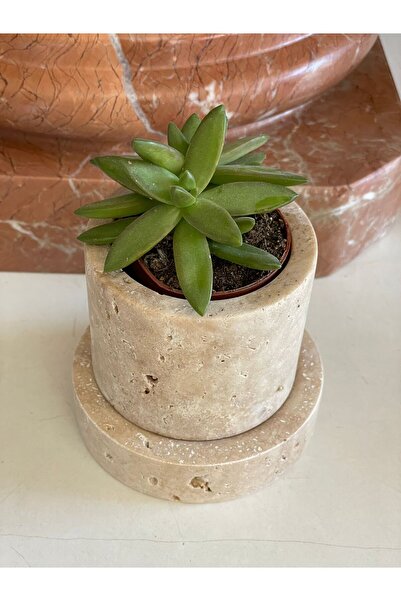 Polen Stone Traverten  Kaktüslük / Sukulent / Çiçeklik Tepsili 2 parça