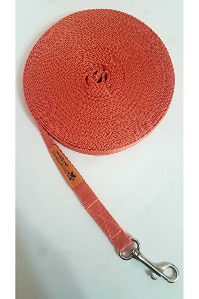 Loyal Friend Store köpek tasma ufak ırklar için 5 metre sevk kayısı genişlik 1.5 cm