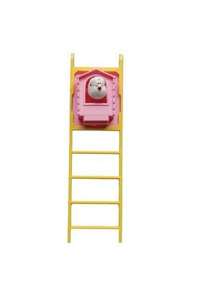 Badem Akvaryum Ladder Cuckoo Bird Toy