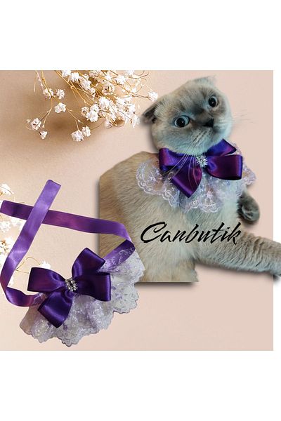 Canbutik Cat and Dog Collar Leash Purple