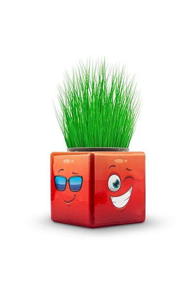 OMZ 17-Piece Mixed Emoji 3-Sided Figured Cube - School and Preschool Gift Grass Man