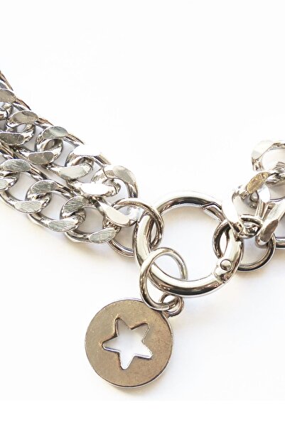 NATZIONE Büyük Irk Gümüş Çift Kat Köpek Zincir Tasma Kolye Aksesuar Paslanmaz (S:50-M:60-L:70 CM)