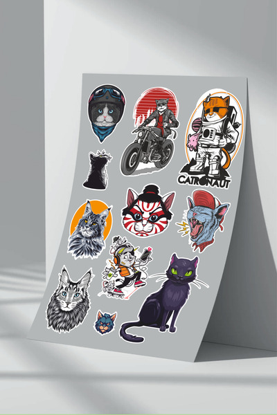 Sticker Market Set de autocolante pentru pisici de 14 piese
