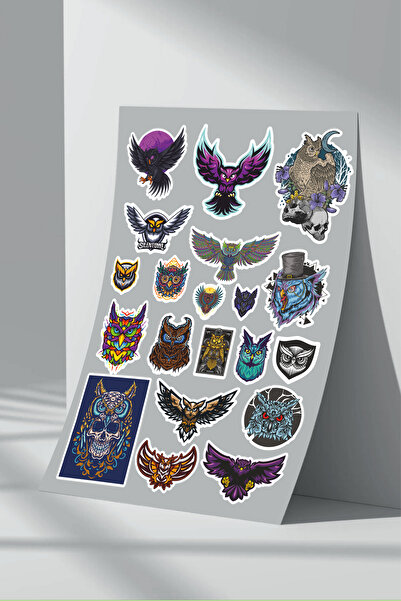 Sticker Market Set de autocolante Owl din 3 piese