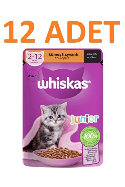 Whiskas Kümes Hayvanlı Yavru Yaş Kedi Maması 85 G X 12 Adet