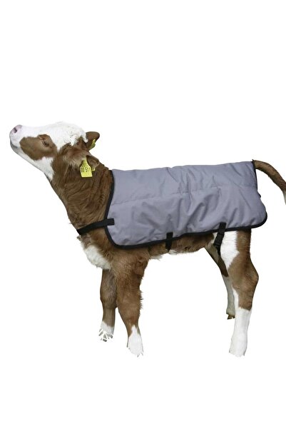 Genel Markalar Buzağı Battaniyesi Termal 80 Cm