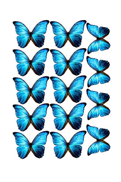 Atölye7Tasarım Blue Butterfly Patterned A4 Printed - Edible Ornament, Pastry Cookie and Sugar Dough