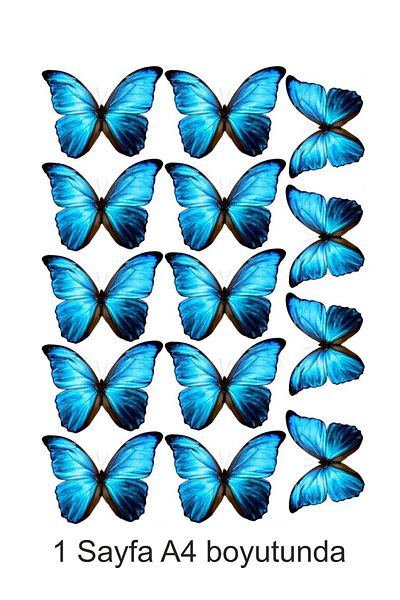 Atölye7Tasarım Blue Butterfly Patterned A4 Printed - Edible Ornament, Pastry Cookie and Sugar Dough