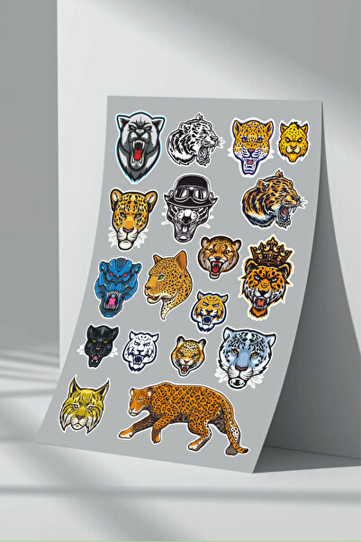 Sticker Market Set de autocolante Cougar - Pachet de 2