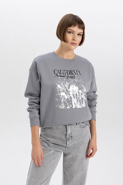 DeFacto Comfortable Cut Crew Neck Thick Sweatshirt - B6590ax23wn
