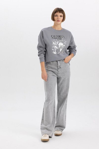 DeFacto Comfortable Cut Crew Neck Thick Sweatshirt - B6590ax23wn